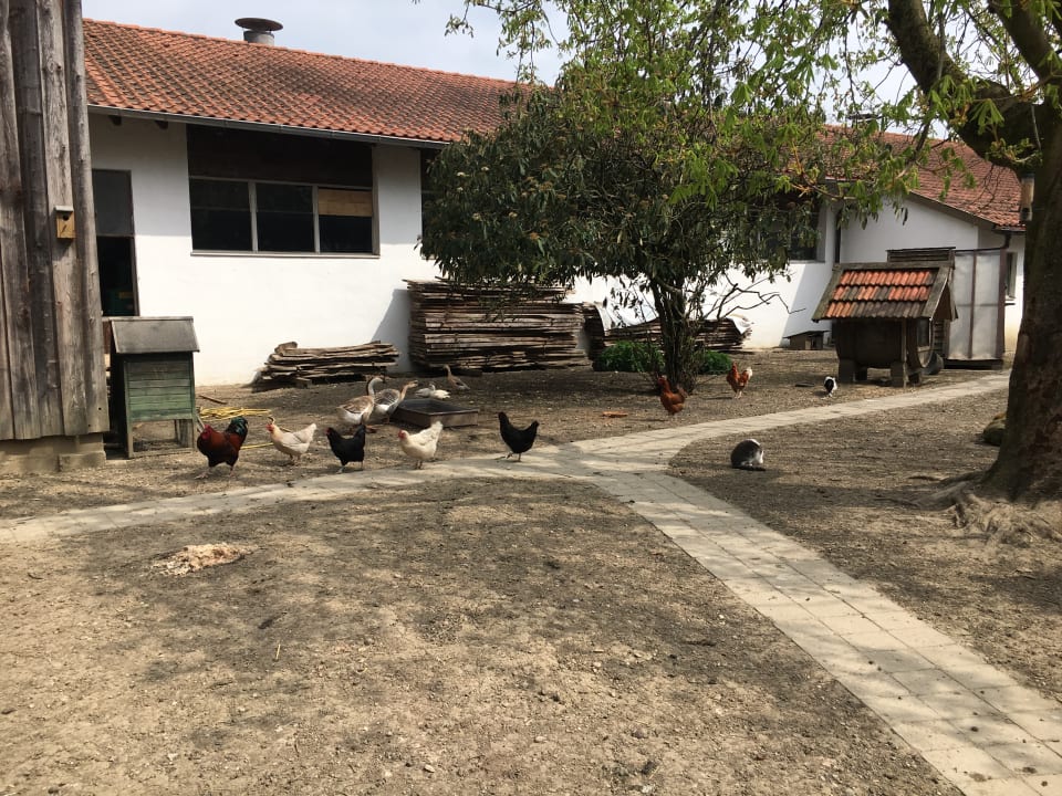 Gartenanlage Ferienhof Schmid