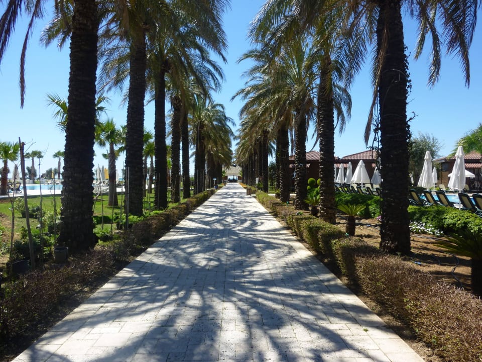 Weg zum Strand Calimera Serra Palace