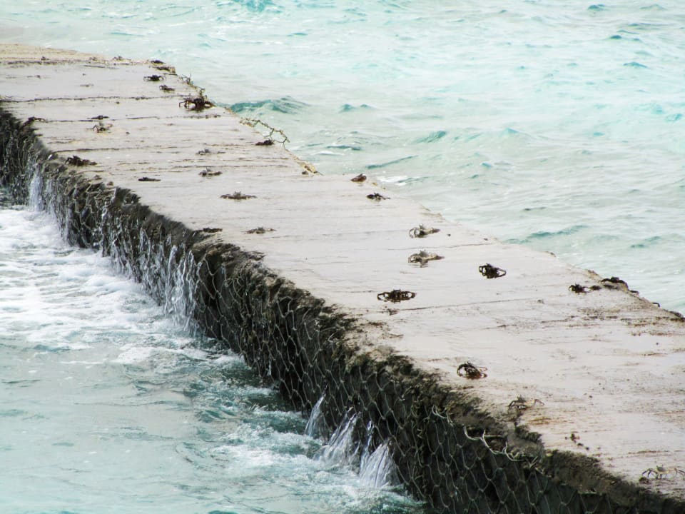 Diese befanden sich nur auf einer Seite der Insel Adaaran Club Rannalhi - All Inclusive