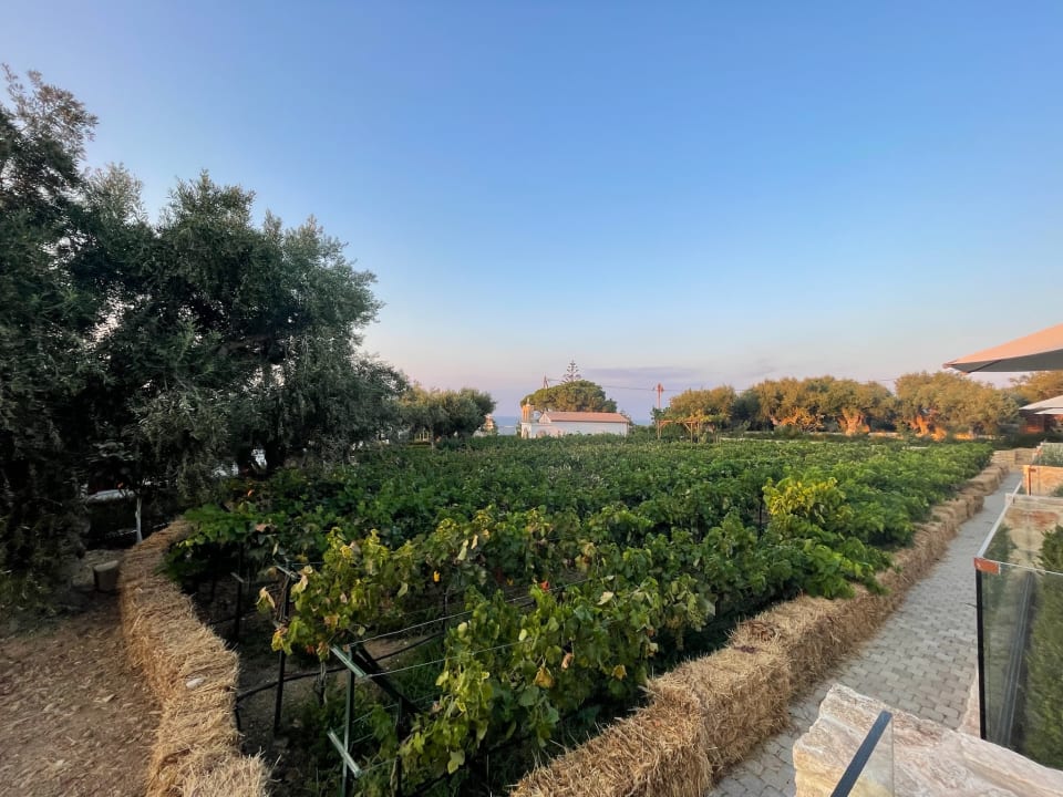 Gartenanlage Lesante Cape - The Leading Hotels of the World