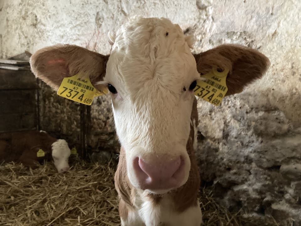 Gartenanlage Familienparadies Zeislerhof