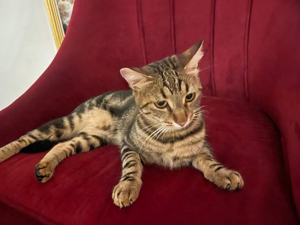 Sonstiges Mary Hotel Side