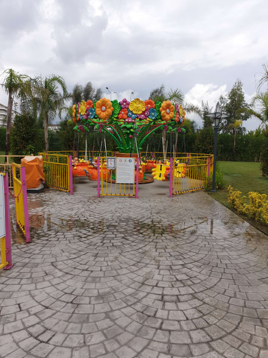 Sport & Freizeit Royal Seginus