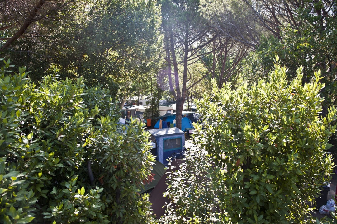 Camping Life New Camping Le Tamerici