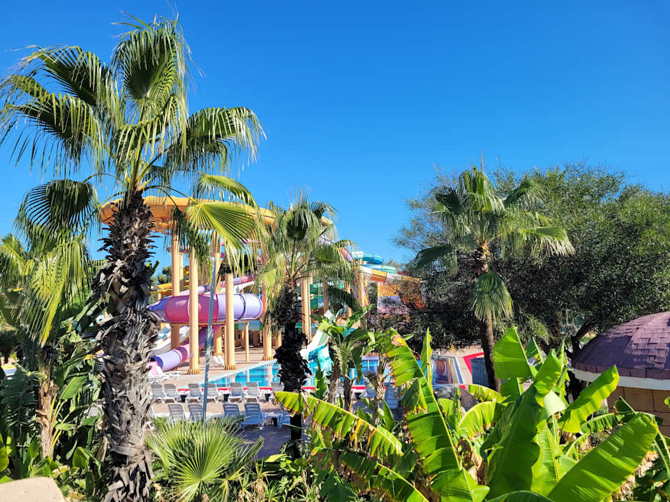Pool Delphin BE Grand
