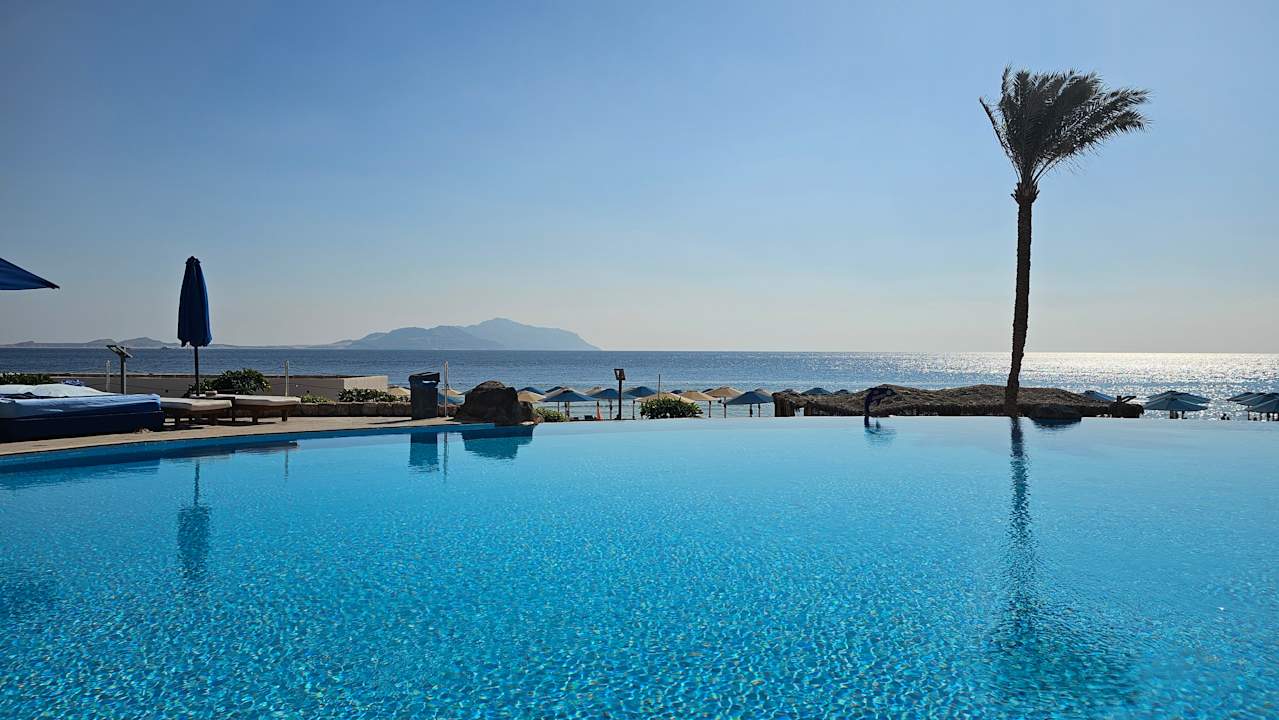 Pool Pickalbatros Palace Resort