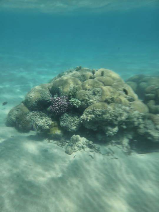 Strand Shams Safaga Resort