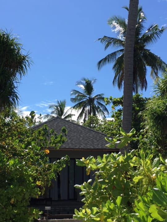 Gartenanlage NH Collection Maldives Havodda Resort