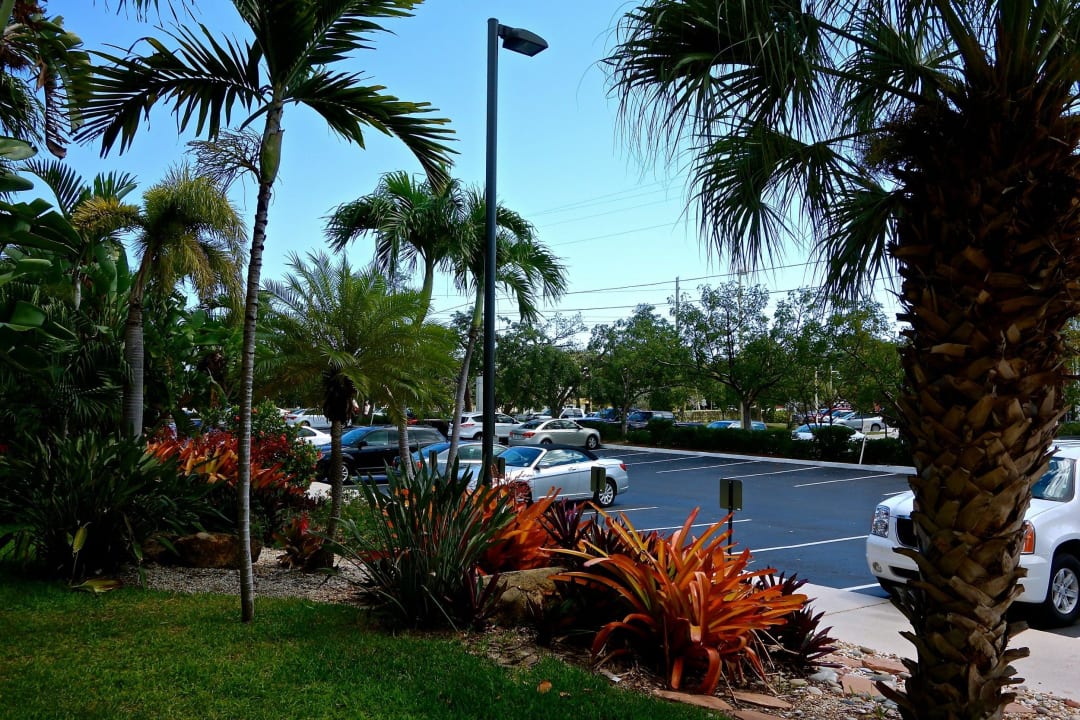 Blick vom Seiteneingang auf den Parkplatz Hampton Inn Key Largo