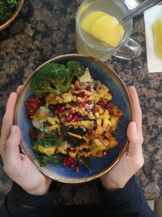 Gastro ROBINSON NOBILIS