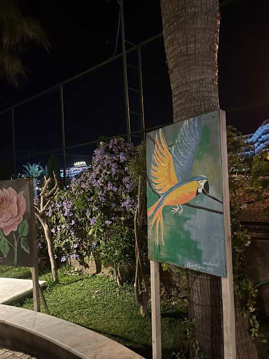 Gartenanlage Numa Bay Exclusive Hotel