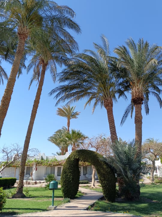 Gartenanlage Shams Safaga Resort