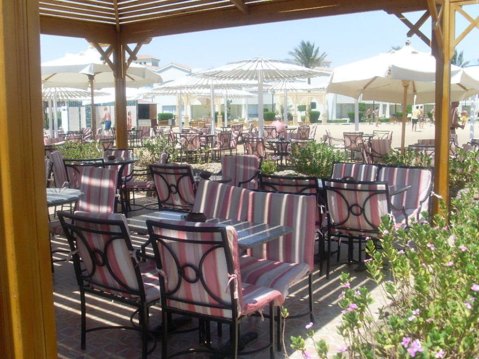 Aussenanlage Pickalbatros Dana Beach Resort - Hurghada