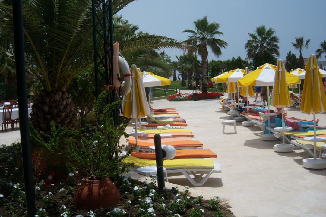 Liegen frei am Pool VONRESORT Golden Coast