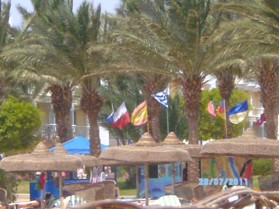 Residierene Nationalitäten Palm Royale Resort - Soma Bay
