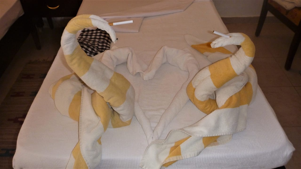 Zimmer Menaville Safaga