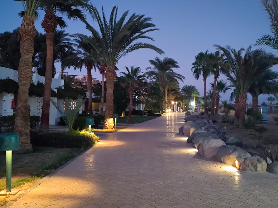 Gartenanlage Shams Safaga Resort