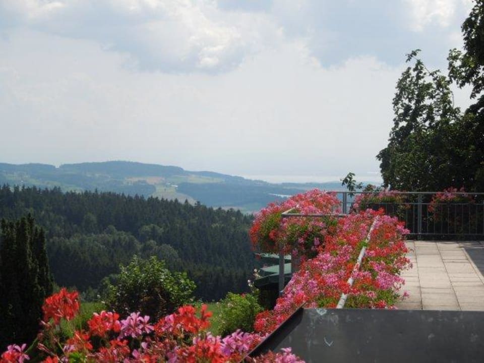 Blick von der Terrasse zum Bodensee /Altbau) Berggasthof Hotel Höchsten