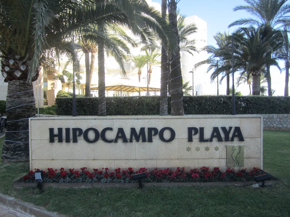 Eingangsbereich Hipotels Hipocampo Playa