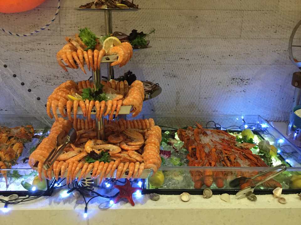 Gastro Acanthus Cennet Barut Collection