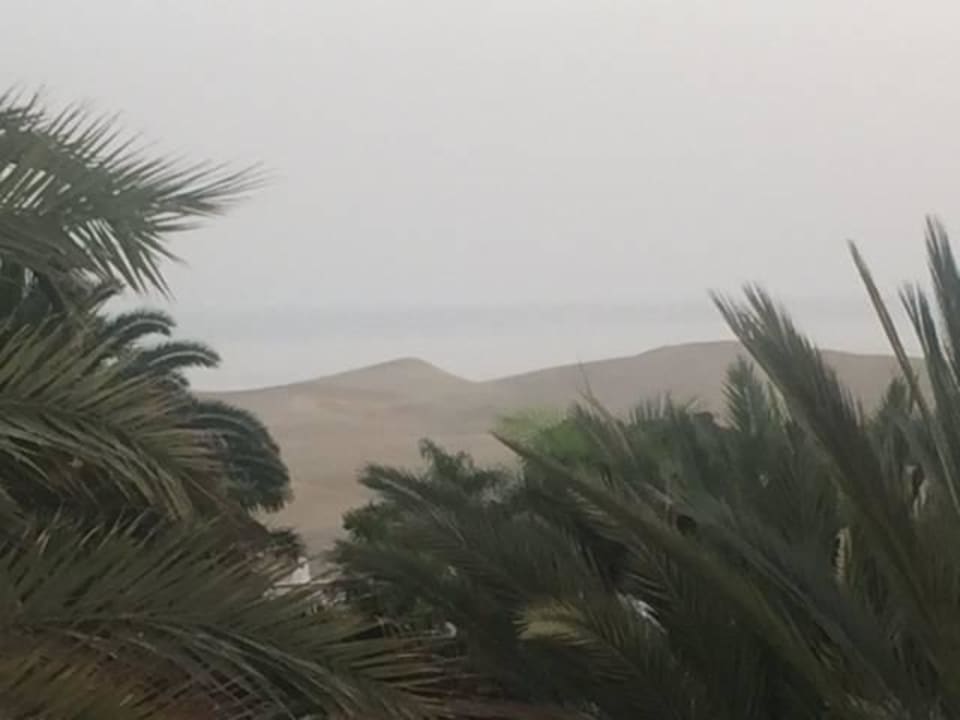 Blick zu den Dünen Hotel Riu Palace Maspalomas Adults Only