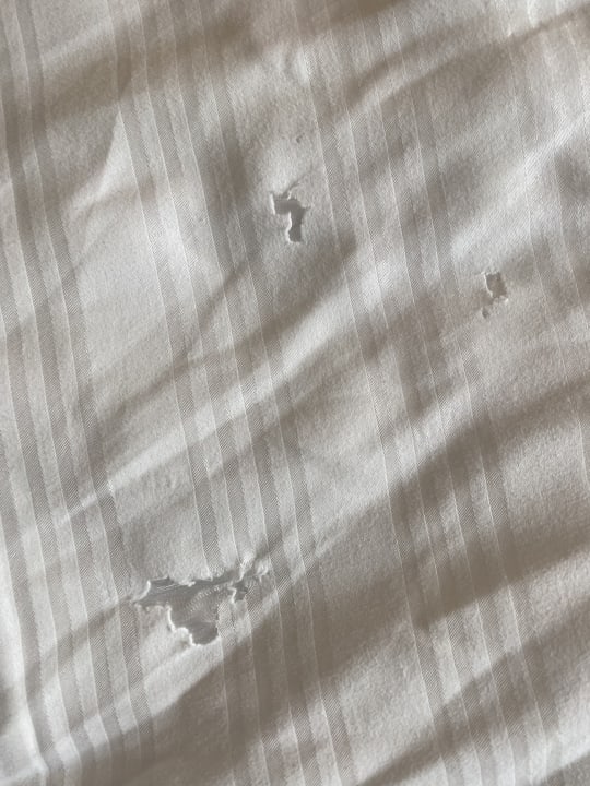 Zimmer Well Palace Side