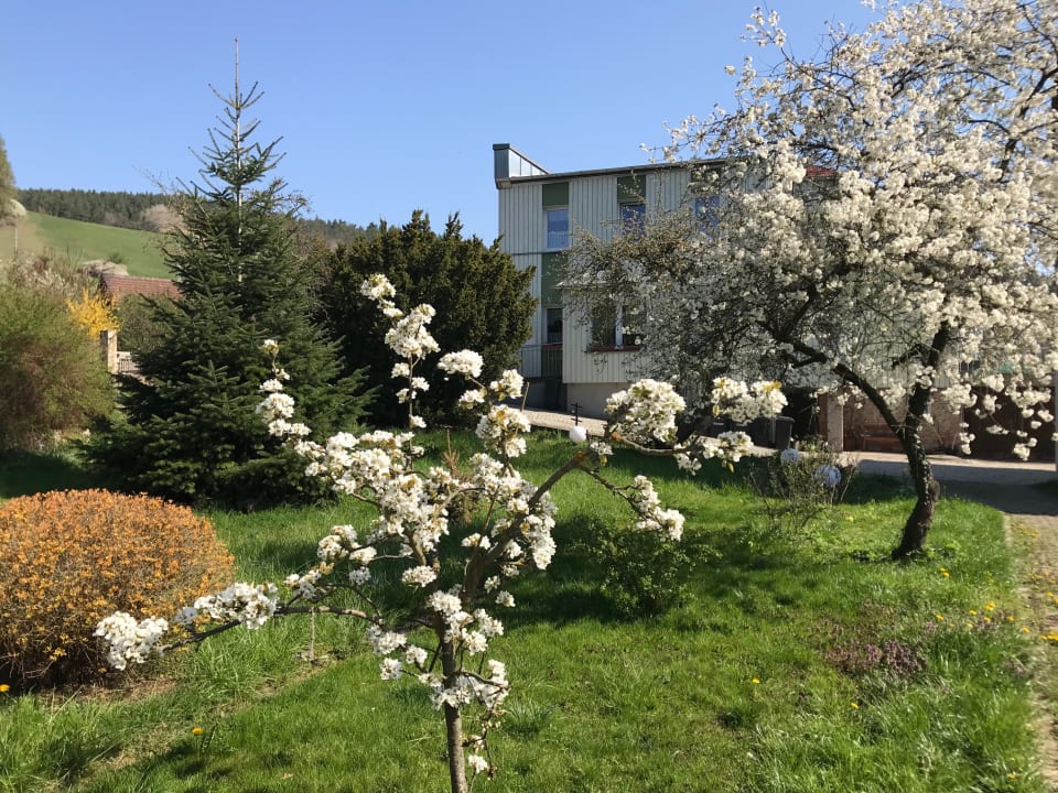 Gartenanlage Gästehaus Stein