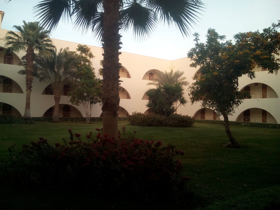 Gartenanlage Desert Rose