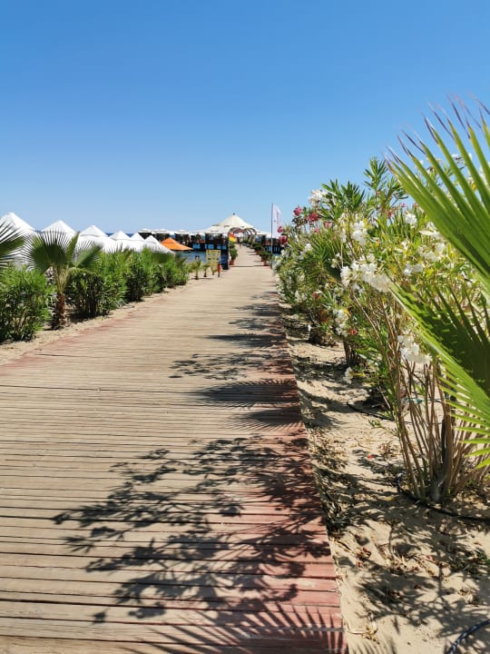 Strand VONRESORT Golden Beach