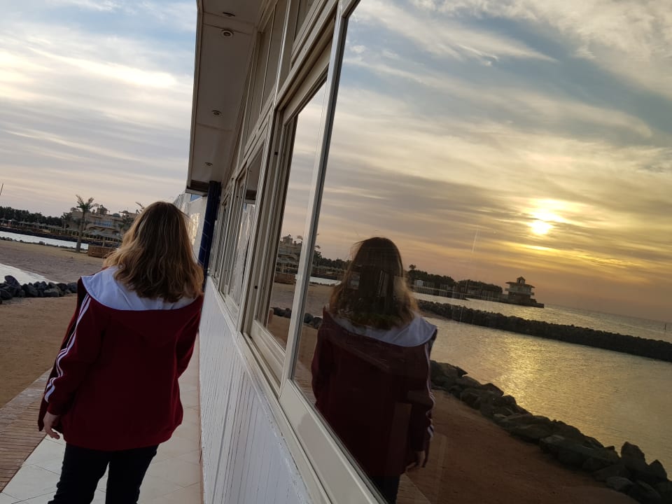 Ausblick Desert Rose