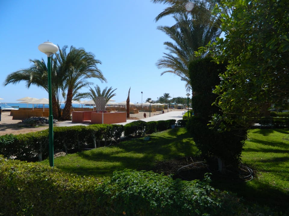 Grünanlage / Strand Menaville Safaga