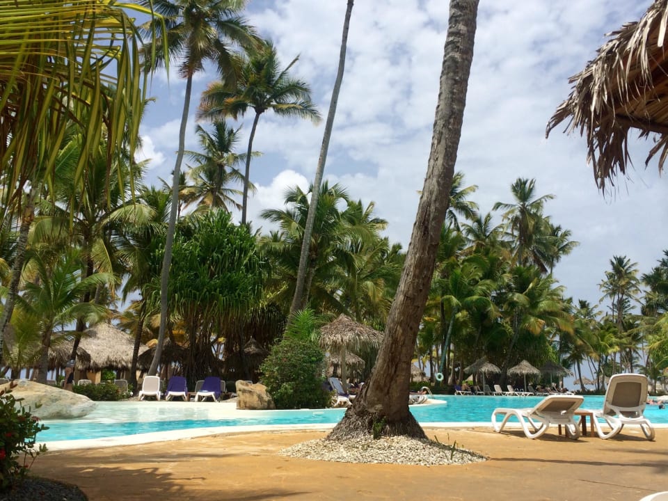 The Level Pool Meliá Caribe Beach Resort-All Inclusive