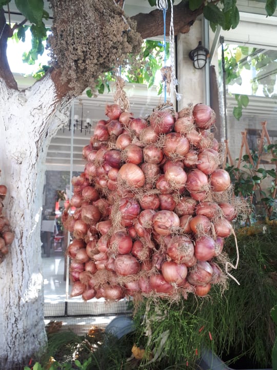 Gartenanlage HARPIN Happy Days Beach Hotel