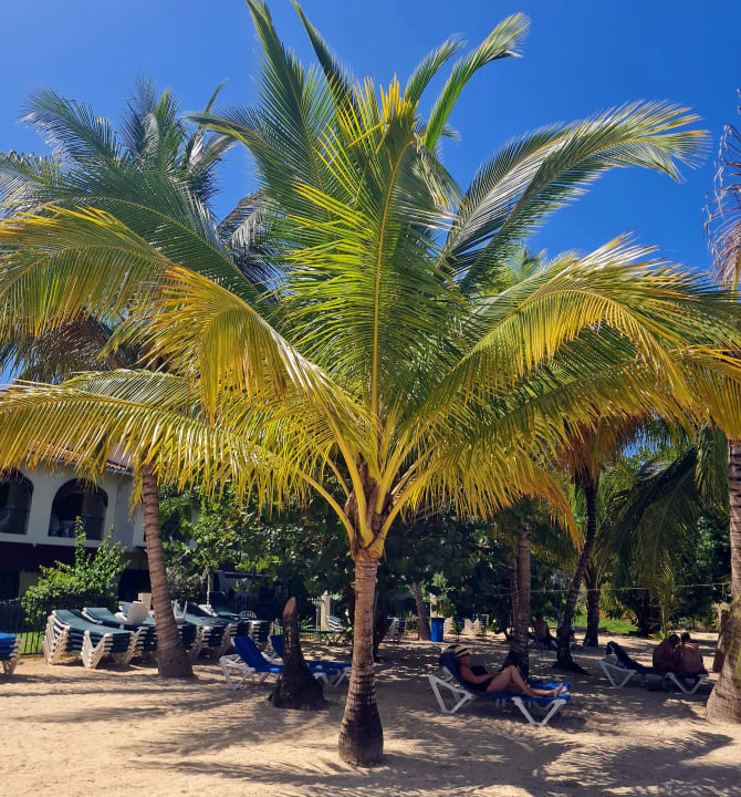 Strand Charela Inn Hotel