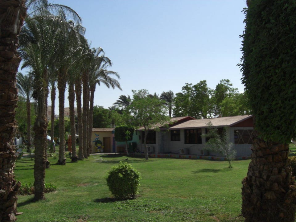 Kidsclub Beach Albatros Resort