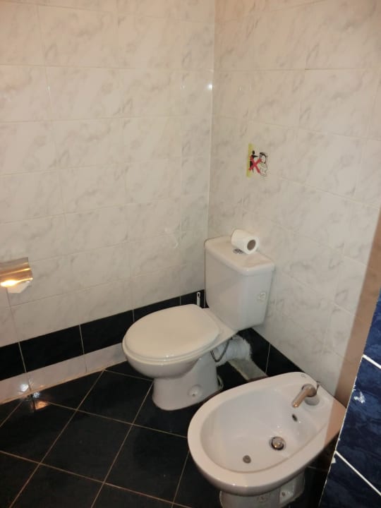 Die Toilette Desert Rose