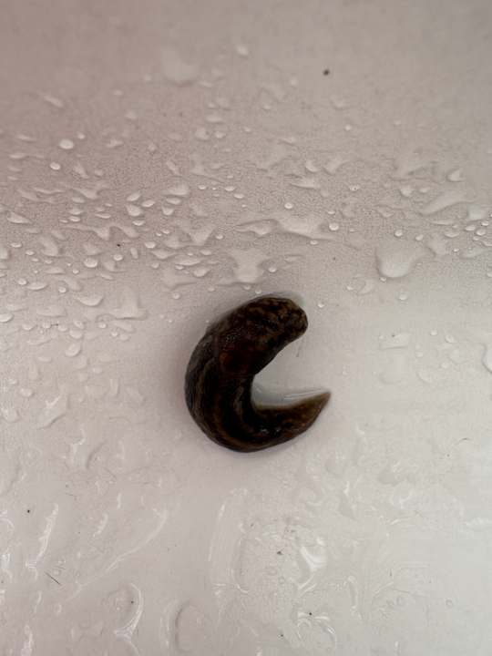 Sonstiges Oostappen Vakantiepark Arnhem