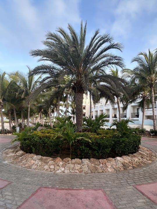 Gartenanlage Hotel Riu Karamboa