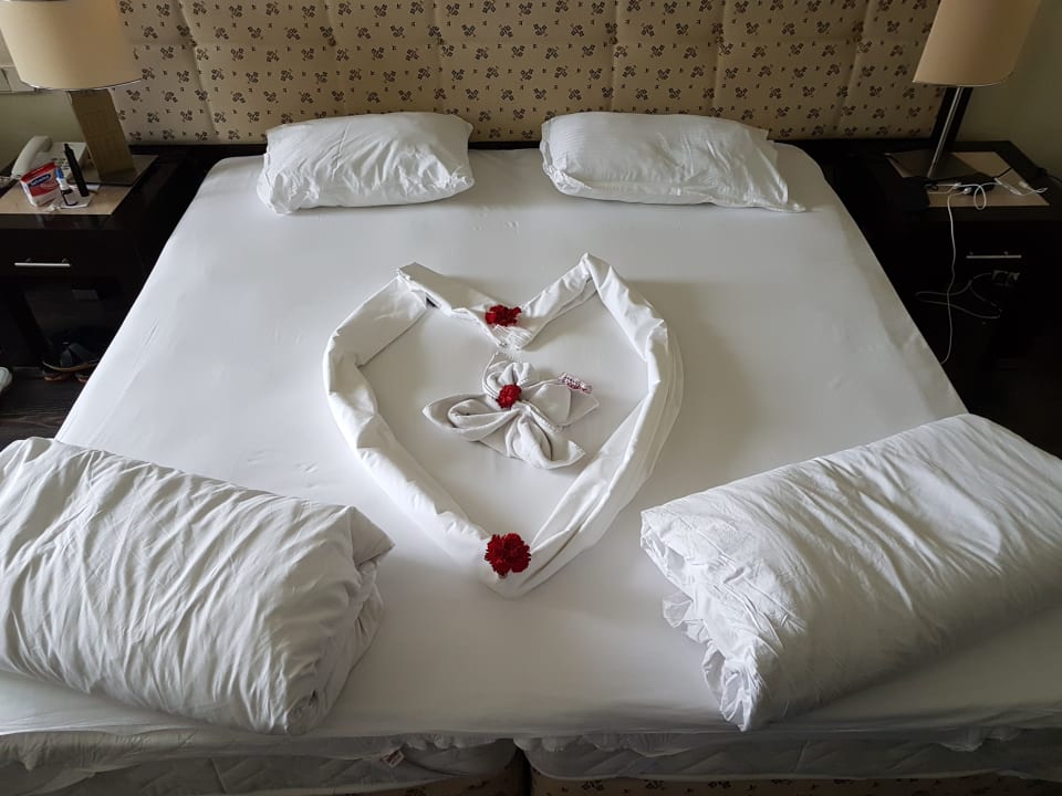 Zimmer Asteria Collection Side