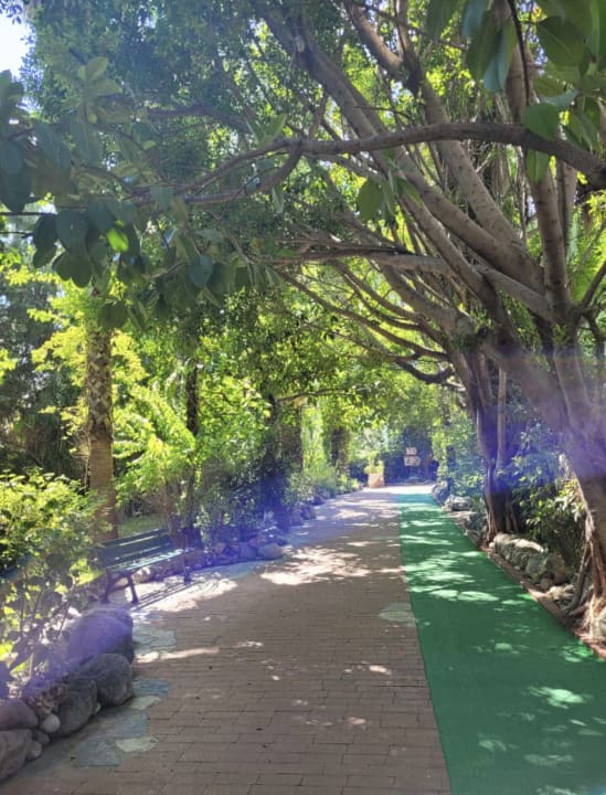 Gartenanlage Hotel Defne Dream