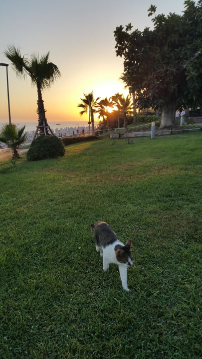 Sonnenuntergang Horus Paradise Luxury Resort & Club