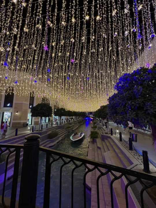 Ausblick Papillon Ayscha