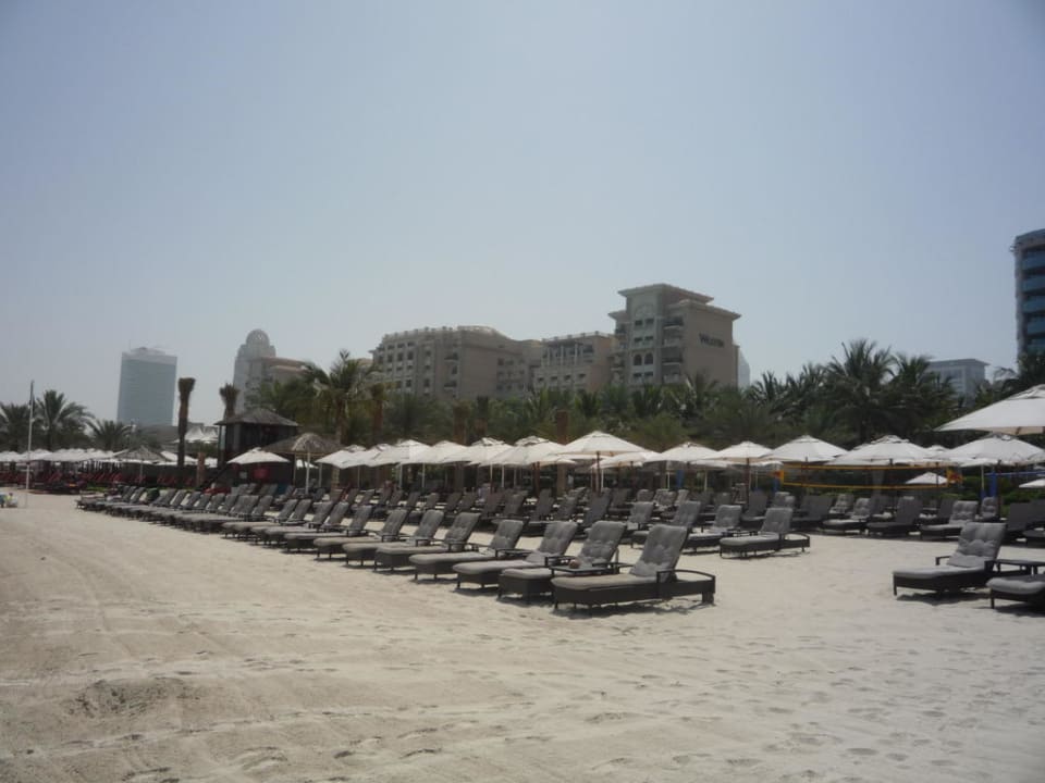 Freie Liegen in Hülle und Fülle. Le Meridien Mina Seyahi Beach Resort & Waterpark