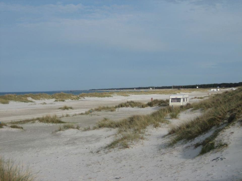 Noch leerer Strand am Regenbogencamp Regenbogen Ferienanlage Prerow