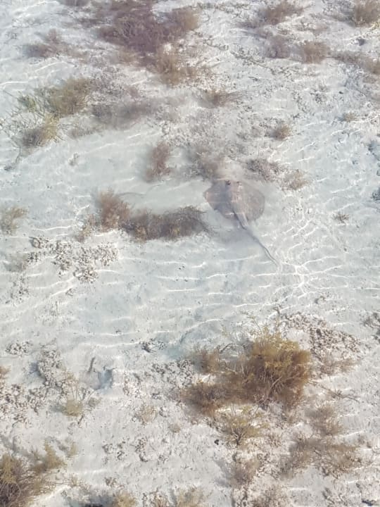 Strand Casa Mare Resort