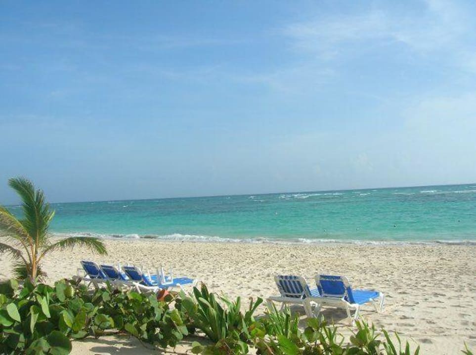 Hotelstrand war sehr feinsandig Bahia Principe Luxury Ambar