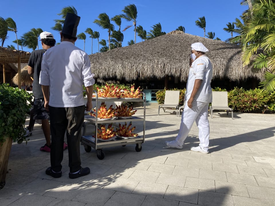 Sonstiges Hotel Grand Palladium Palace Resort, Spa & Casino