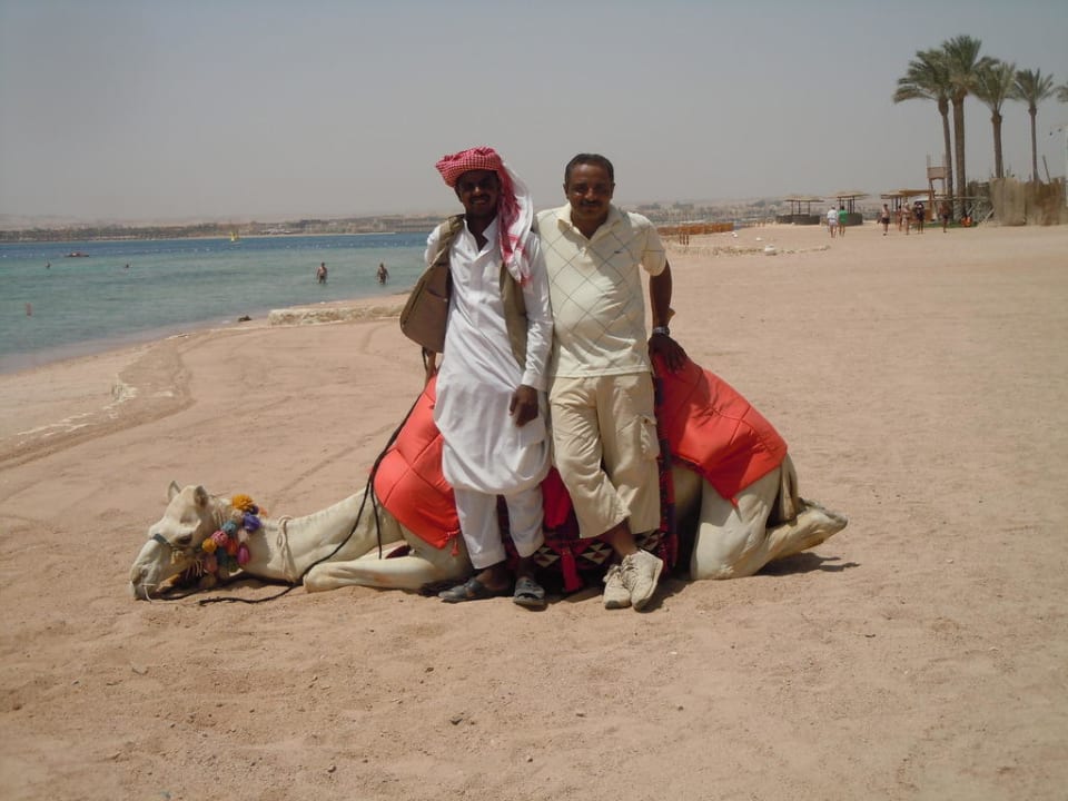 Strand Makadi Palace