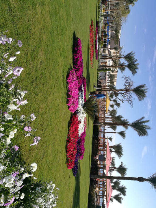 Gartenanlage Pickalbatros Palace Resort