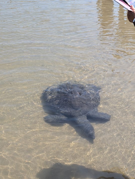 Strand Dream World Aqua Hotel